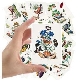 Large Stickers 24 pcs (2.5"x3.5" Each) Birds Butterfly and Flowers Antique Botannical Book Illustration Vintage Postcards Retro Greeting Card Reprint