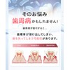 White Essence PerioTect [Quasi-Drug] Periodontal Disease Prevention Toothpaste Citrus Mix