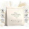 Shine Collagen Powder 500 g - 100% Collagen Peptides, Premium