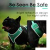 ThinkPet Harness and Leash Set Reflective Breathable Soft Air Mesh