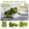 Gisqis Green Frog Stuffed Animal 17.7INCH 1.56IB