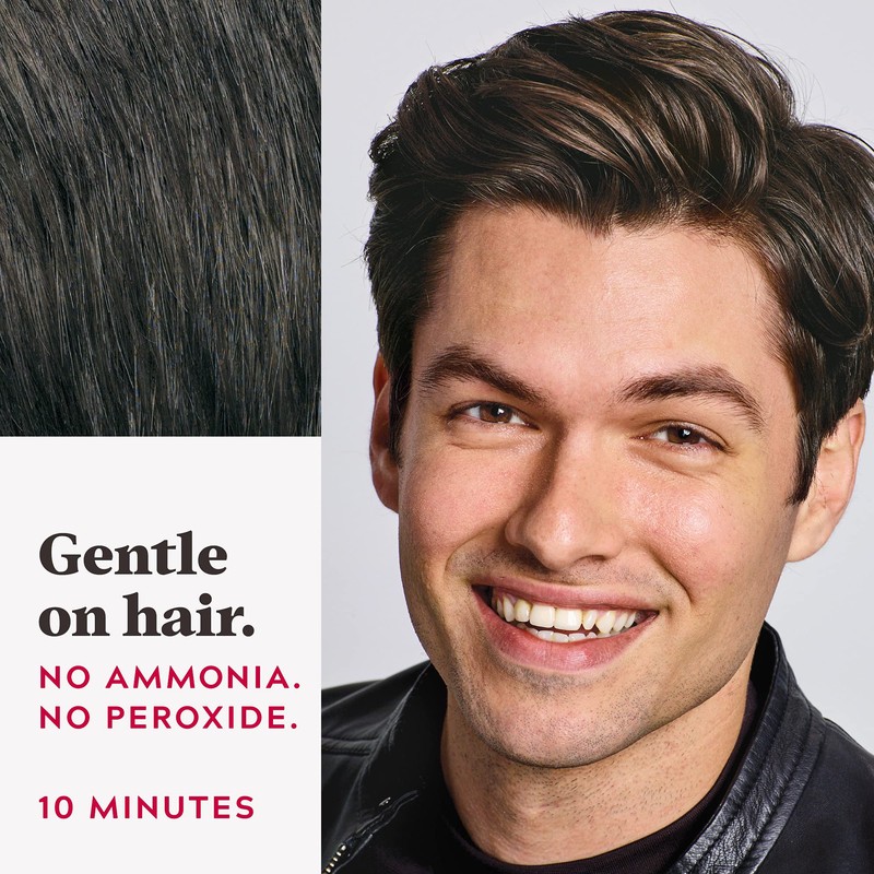 Just For Men Easy Comb-In Color Mens Hair Dye, Easy