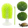 2 Pcs Turtle Brush with Suction Cups, 2 Large Decorative