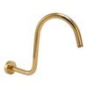 Stainless Steel S Shaped Raised Shower Arm and Flange NPT