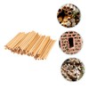 CIYODO 50pcs Bee Tubes for Beekeepers Natural Phragmite Habitat Easy
