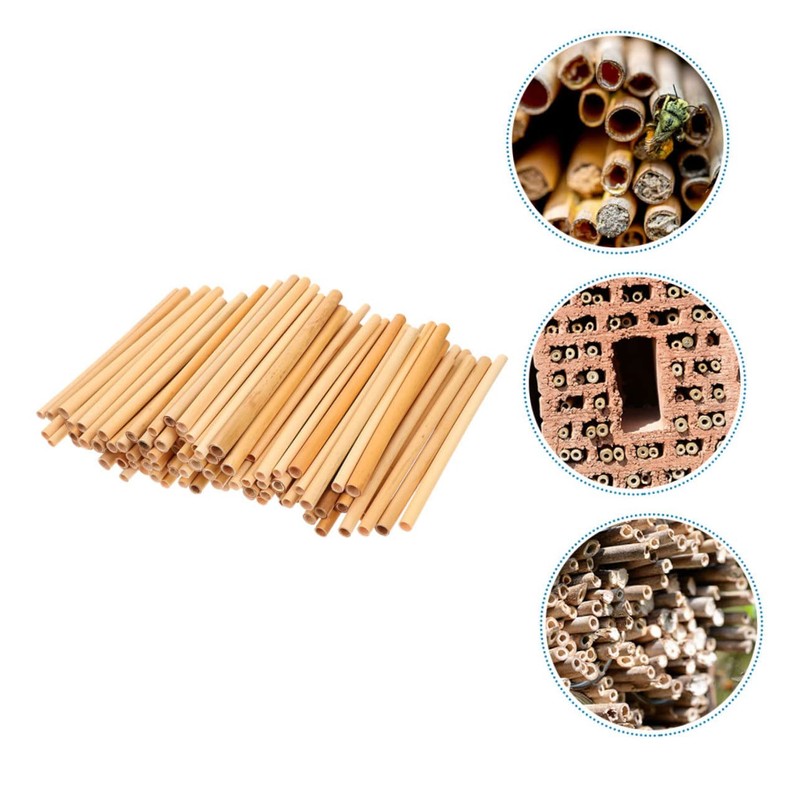 CIYODO 50pcs Bee Tubes for Beekeepers Natural Phragmite Habitat Easy