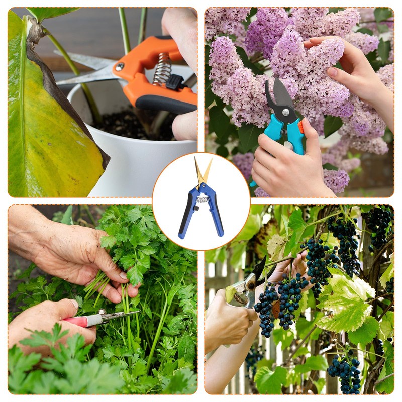 HARFINGTON 2pcs Gardening Scissors 6.5" Curved Stainless Steel Blades Hand
