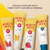 Burt's Bees Stocking Stuffers, Rescue Lip Relief, Watermelon, Hydrating Lip
