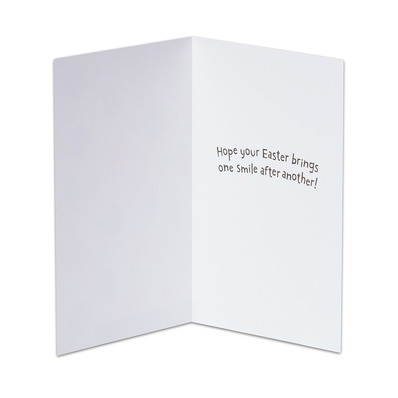 American Greetings Easter Cards with Envelopes, One Smile After Another