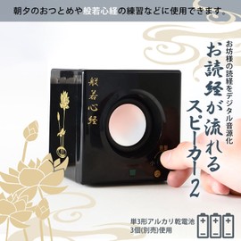 Asahi Denki Kasei Sutra Flowing Speaker 2 ANS-603