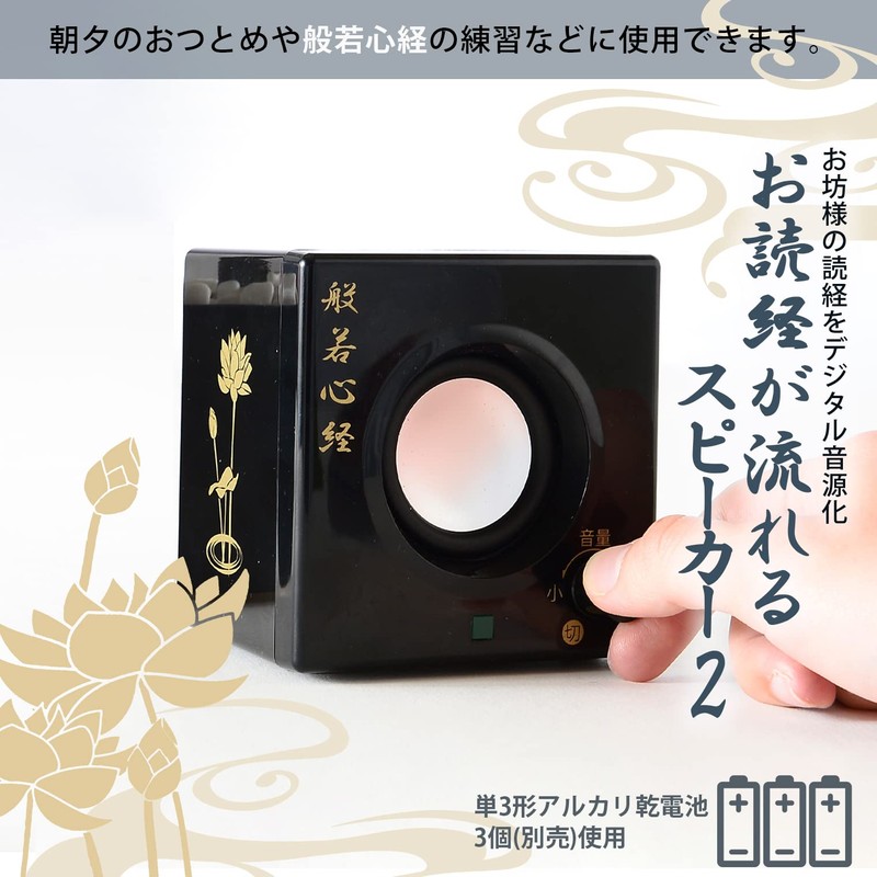 Asahi Denki Kasei Sutra Flowing Speaker 2 ANS-603