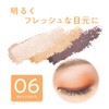 Cezanne Tone Up Eyeshadow 06 Orange Cassis 2.6g