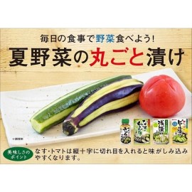 Daisho Japanese Vegetable Pickle Seasoning Spices Mix Tsukemono