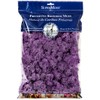 SuperMoss (25158) Reindeer Moss Preserved, Lavender, 8oz Bag