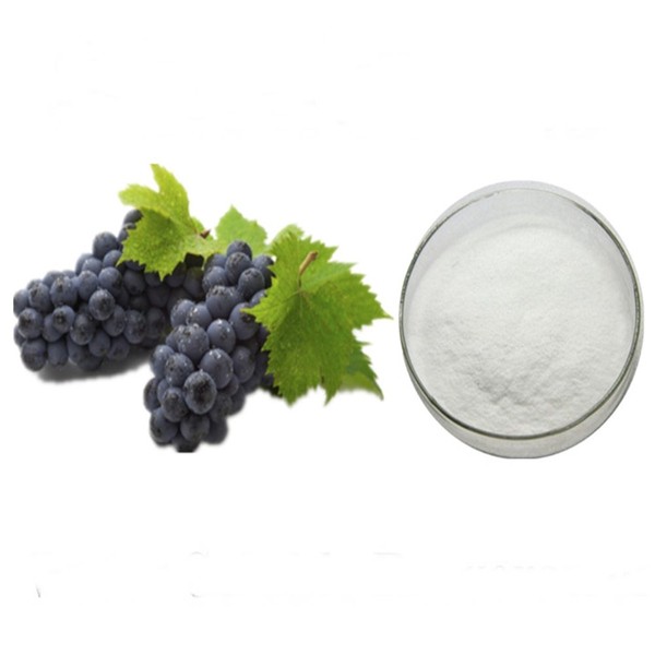 [On Sale] Concord Grape Concentrate Powder 100g Sample / [온세일]콩코드포도농축분말 100g 샘플