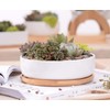 WEIYON-6.29 inchSucculent Planter Ceramic with Bamboo Tray, Modern White Ceramic