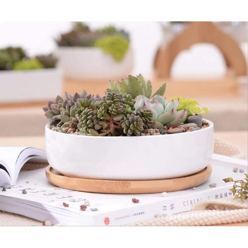 WEIYON-6.29 inchSucculent Planter Ceramic with Bamboo Tray, Modern White Ceramic