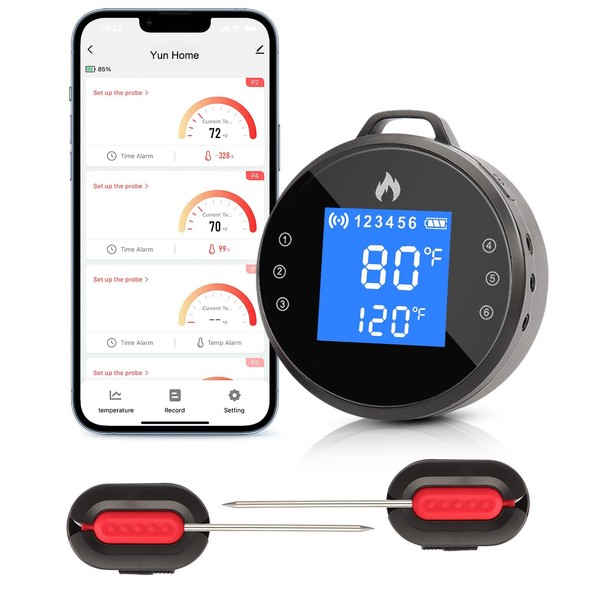 Sanwo WiFi Meat Thermometer with 2 Probes, Digital Wireless Instant