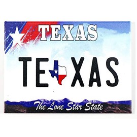 Texas License Plate Fridge Collector's Souvenir Magnet 2.5" X 3.5"