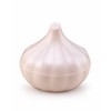 Reusable Fruit & Vegetable Storage Containers for Fridge, Onion Garlic