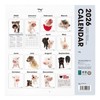 THE PIG Calendar 2026 Wall Calendar Large Size (Pig)