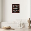 Jinchuan Knife Display Case - Pocket Knife Stand for Collections