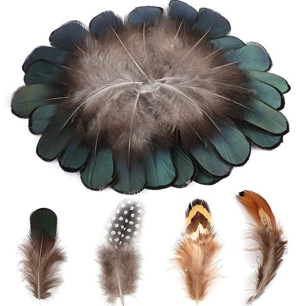 MWOOT 200 Natural Feathers for Crafts, Decorative Craft Feathers, Small Chicken Feather for DIY Dream Catcher, Halloween Costume, Carnival Masks, Christmas Wreath, Easter Accessories, Black Brown