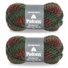 Patons Kroy Socks FX Yarn, 2-Pack, Clover Colors
