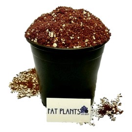 Fat Plants San Diego Premium Cacti and Succulent Potting Mix Soil - for Cactus Palm Tree Citrus Plant Grown in Gardening Containers - Indoors & Outdoors Use - with Natural Food/Fertilizer