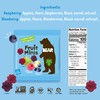 BEAR Fruit Snack Minis – Bite-Sized Snacks For Kids -