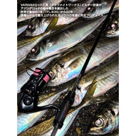 バリバス(VARIVAS) グラファイトワークス Pro4EX チューンドファインライン TFLエステル 300m 0.35号