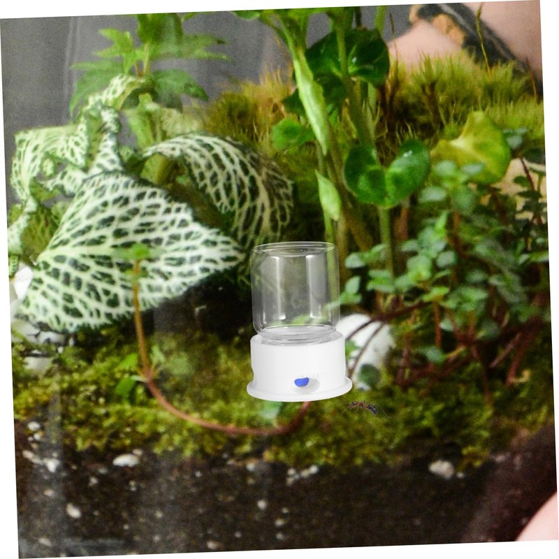 WOONEKY Ants Water Dispenser Ants Food Dispensing Box Ants Waterer