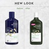 Avalon Organics All Natural Dandruff Therapy Shampoo, 11 Fl Oz