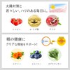 日本サンテ アスタキサンチン サプリメント 10mg ルテイン リコピン配合 日本製 60粒