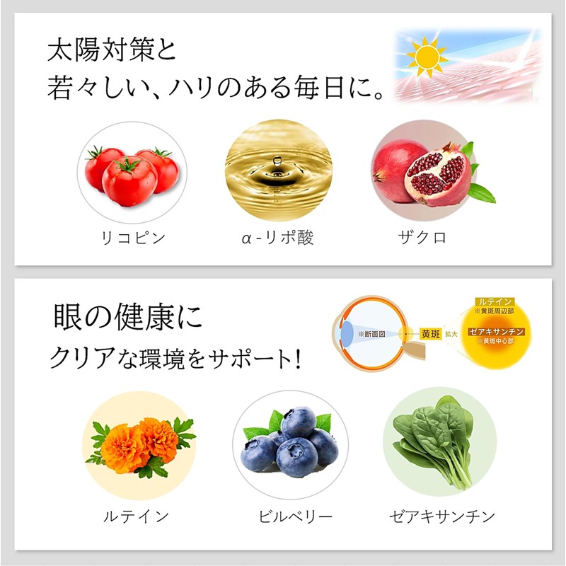 日本サンテ アスタキサンチン サプリメント 10mg ルテイン リコピン配合 日本製 60粒