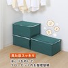 Astro 618-66 Storage Case for Blankets, Set of 3, Green,
