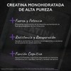 Inteliva Creatina Monohidratada en polvo - Sin sabor, sin azúcar