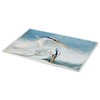 Certified International Shorebirds Rectangular Platter, 16" x 12" x 1.25",