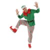 ReneeCho Men Santa Candy Elf Christmas Costume, Medium Green