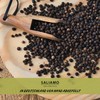 100 g Cubeb Pepper, Whole Stem Pepper, Java Peppercorns from