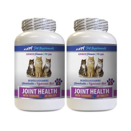 Pet Supplements Hip and Joint cat Treats - CAT Turmeric for Joint Health - Advanced Joint Support - cat Calcium - 2 Bottles (120 Tablets)