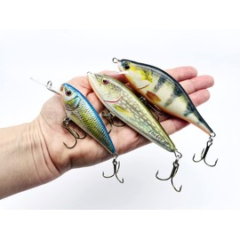EVERBAY DORADO Wobblers Fishing Lures Set - Artificial Hard Crankbaits Kit - Fishing Tackles, Topwater Life-Like Swimbaits for Pike Zander Catfish Freshwater, Floating & Sinking, 3pcs (Pike)