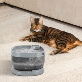 Cat Water Fountain, Electric Ultra Quiet Cat Drinking Fountain Rechargeable Dog Waterer Fountain Indoor 1.85gal Capacity Pet Water Fountain for Kitchen, Bedroom, Balcony (Clear, CYD004)