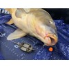 Haldorado Tornado Smoking or Bleeding Pellet Boilie Bait, Wafters for