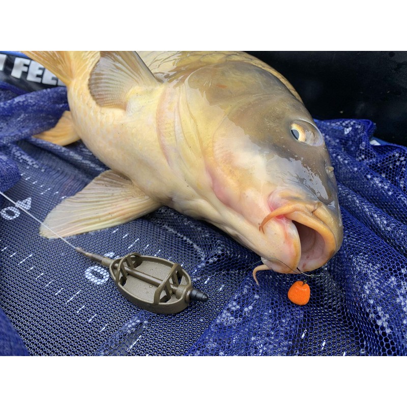 Haldorado Tornado Smoking or Bleeding Pellet Boilie Bait, Wafters for