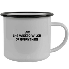 Molandra Products I Am The Wicked Witch of Everything - Stainless Steel 12oz Camping Mug, Black