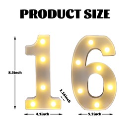 ZUOVAOV Birthday Decorations LED Light Up Sign - Party Decoration Night Lit Anniversary Background Home Decor (16th)