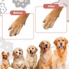 Dog Nail File with 6Pcs Replaceable Filing Disc, Dog Scratch