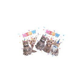 40pcs Cat Birthday Party Paper Napkins, 2-Ply Cat Guest Disposable Hand Towels Napkins,Farm Animal Cocktail Napkin for Birthday Baby Shower Party 6.5"