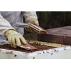Global Patties 4% Pollen Patties for Bees | 10 lb